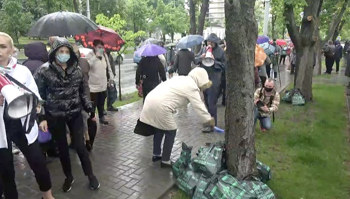 După un protest care a durat câteva zeci de minute, Marina Tauber & Co au adunat "culioacele negre" lângă un copac și le-au solicitat polițiștilor să le transmită președintelui Dodon. Apoi au urcat în autbuz și au plecat