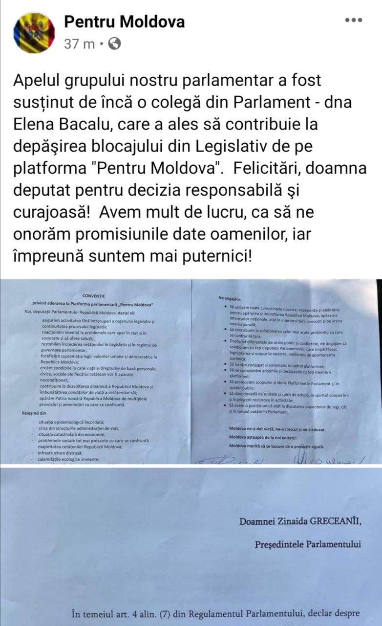 Elena Bacalu de la Pro Moldova se alătură inițiativei Pentru Moldova, inițiată de deputații Șor și alții plecați din fracțiunea lui Andrian Candu