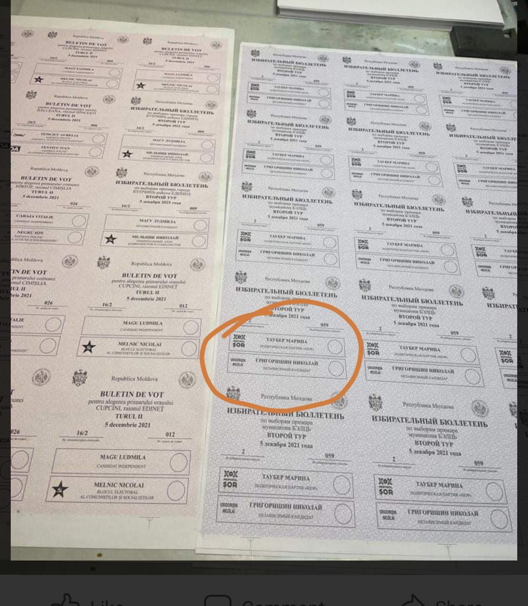 Pe buletinele de vot figurează Tauber și Grigorișin