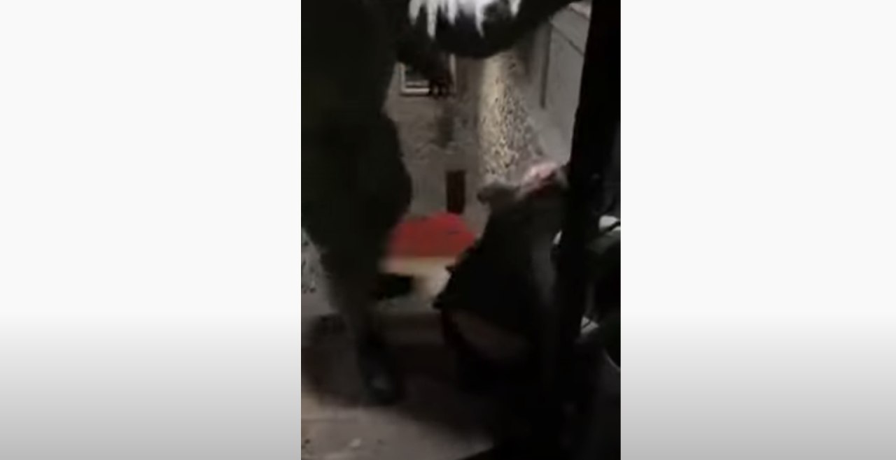 ATENȚIE, imagini cu impact emoțional puternic