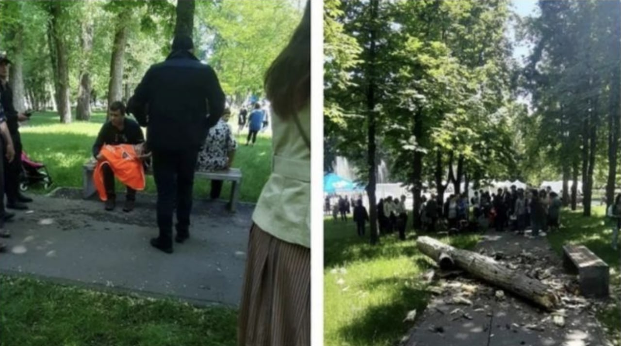 Tragedie în parcul Alunelul din Chișinău: O fetiță de nici 2 ani a murit strivită de o creangă ce a căzut peste ea, într-un parc din Chișinău