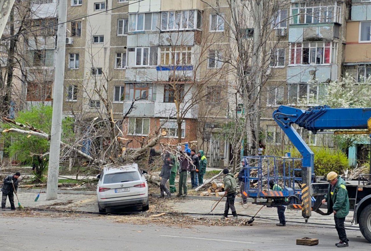 Chișinău: În urma vântului puternic, mai mulți copaci au căzut peste mașinile parcate pe marginea drumului