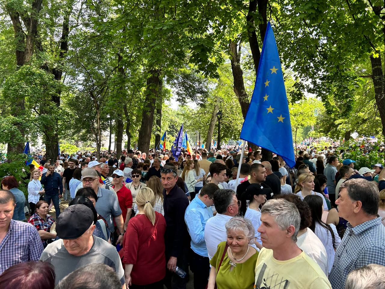Pe aleile din Parcul Catedralei abia se poate circula