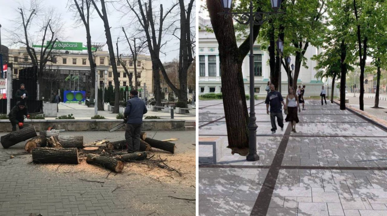 Cum am vrut și... cum a ieșit. Arborii din scuarul Eminescu al Capitalei au fost tăiați azi pentru că s-au uscat. Dintr-un scuar verde promis ne-am pomenit... doar cu beton. Ar fi fost bine să fie