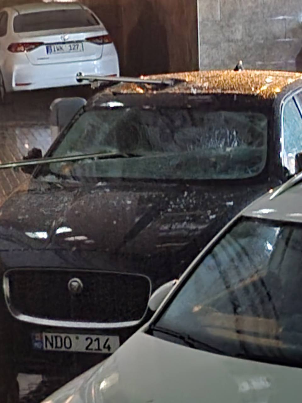 Furtună în Capitala, zeci de copaci au fost doborâți la pământ, avariind mașinile parcate în stradă