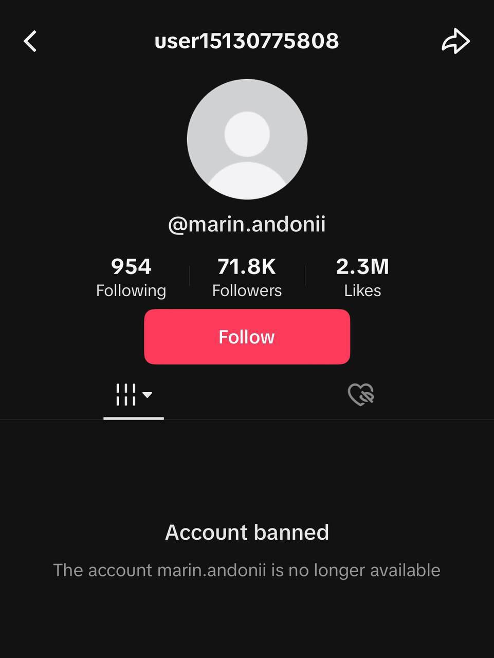 Conturile de Tik-Tok al lui Bogdan Țîrdea (socialist pro-rus) și Marin Andonii (susținător PAS) au fost blocate cu câteva zile înainte de turul II la prezidențiale. Primul răspândea multe falsuri, al doilea - xenofobie