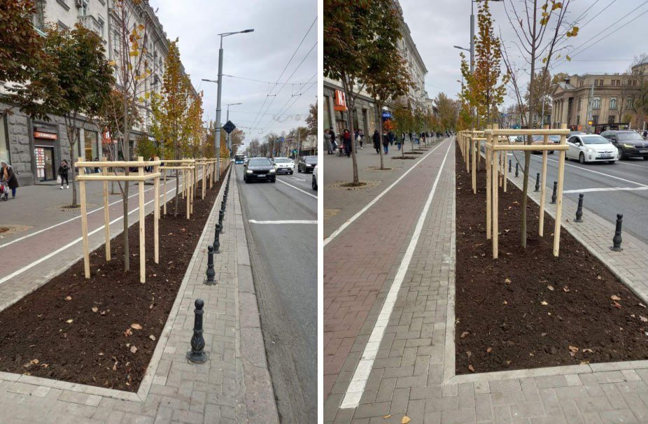 Primăria Capitalei anunță că a sădit copaci de-a lungul bd. Ștefan cel Mare și Sfânt. Potrivit Spațiile Verzi, în total au fost plantați 28 de arbori (cu balot din specia Liquidambar)