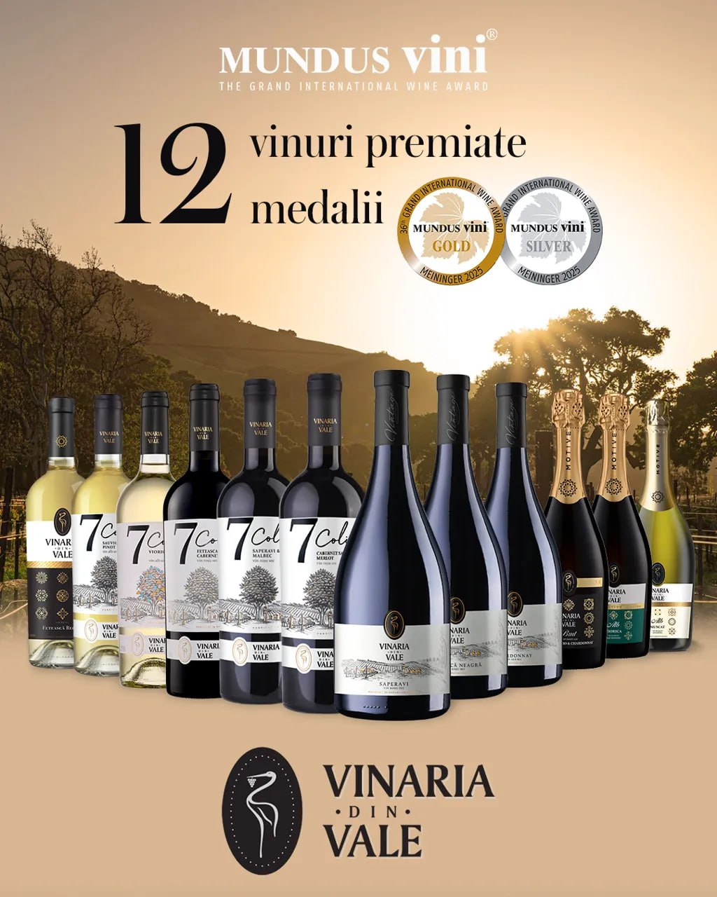 Vinăria din Vale, 12 medalii, 12 vinuri premiate - o nouă confirmare a excelenței