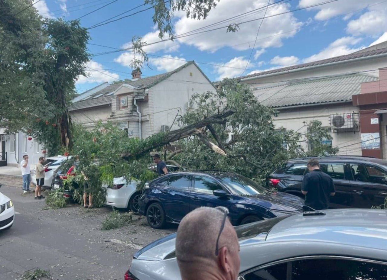 Chișinău. Un copac a căzut peste mașinile parcate pe trotuar, pe str. Mihail Kogălniceanu