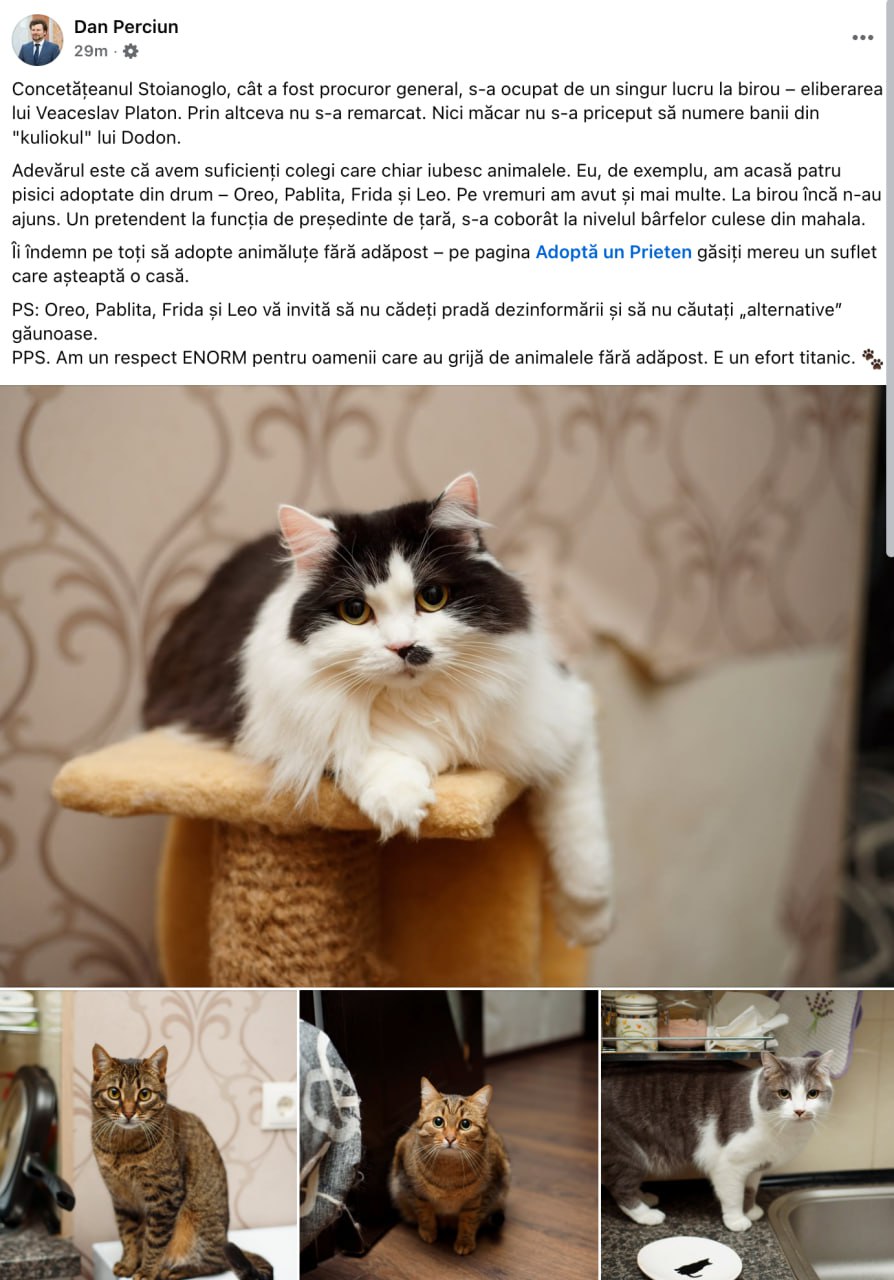 S-au găsit pisicile..., după ce Stoianoglo a spus că știe un ministru care are 13 pisici în birou. Ministrul Educației, Dan Perciun, scrie pe facebook că el are acasă 4 pisici, dar care nu au fost niciodată la birou, îndemnând oamenii să adopte animăluțe fără adăpost