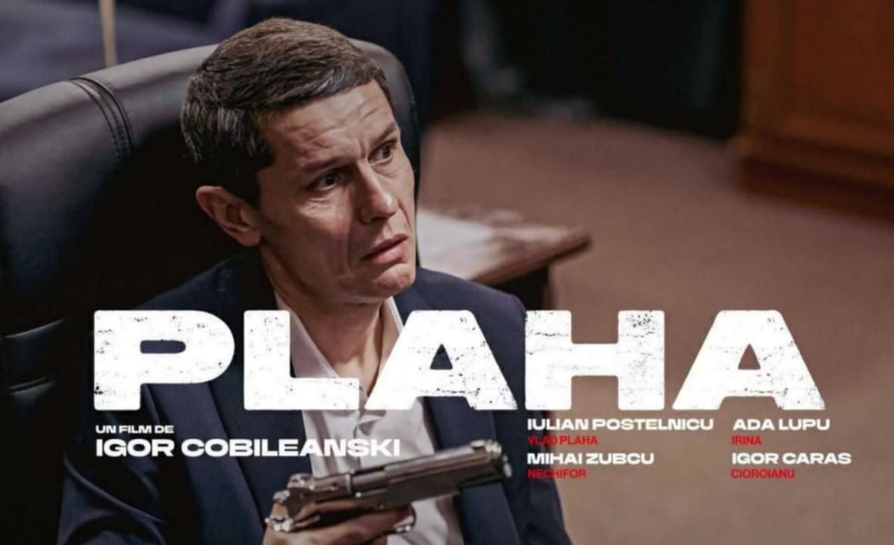 Scrieți la comentarii ce întrebări și curiozități aveți :)