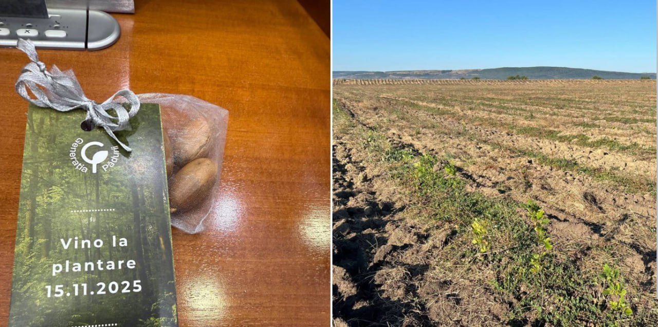 Ion Ceban, supărat iar pe guvernare. De această dată motivul este faptul că a găsit o invitație pentru a merge la plantat pomi. Acesta i-a în derâdere guvernarea care ar fi plantat mai multe terenuri unde nu a rămas nimic