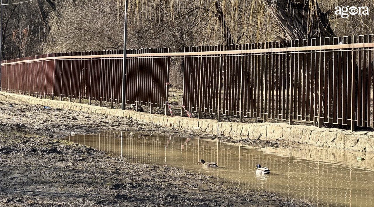 În timp ce primarul Capitalei se plimbă pe la benzinării și face teste în râul Nistru, o porțiune din pista de alergare și promenada Parcului "Valea Morilor" a devenit impracticabilă din cauza apei și nămolului acumulate de peste șase luni. Autoritățile nu au efectuat lucrări de curățare în această zonă frecventată de alergători și bicicliști
