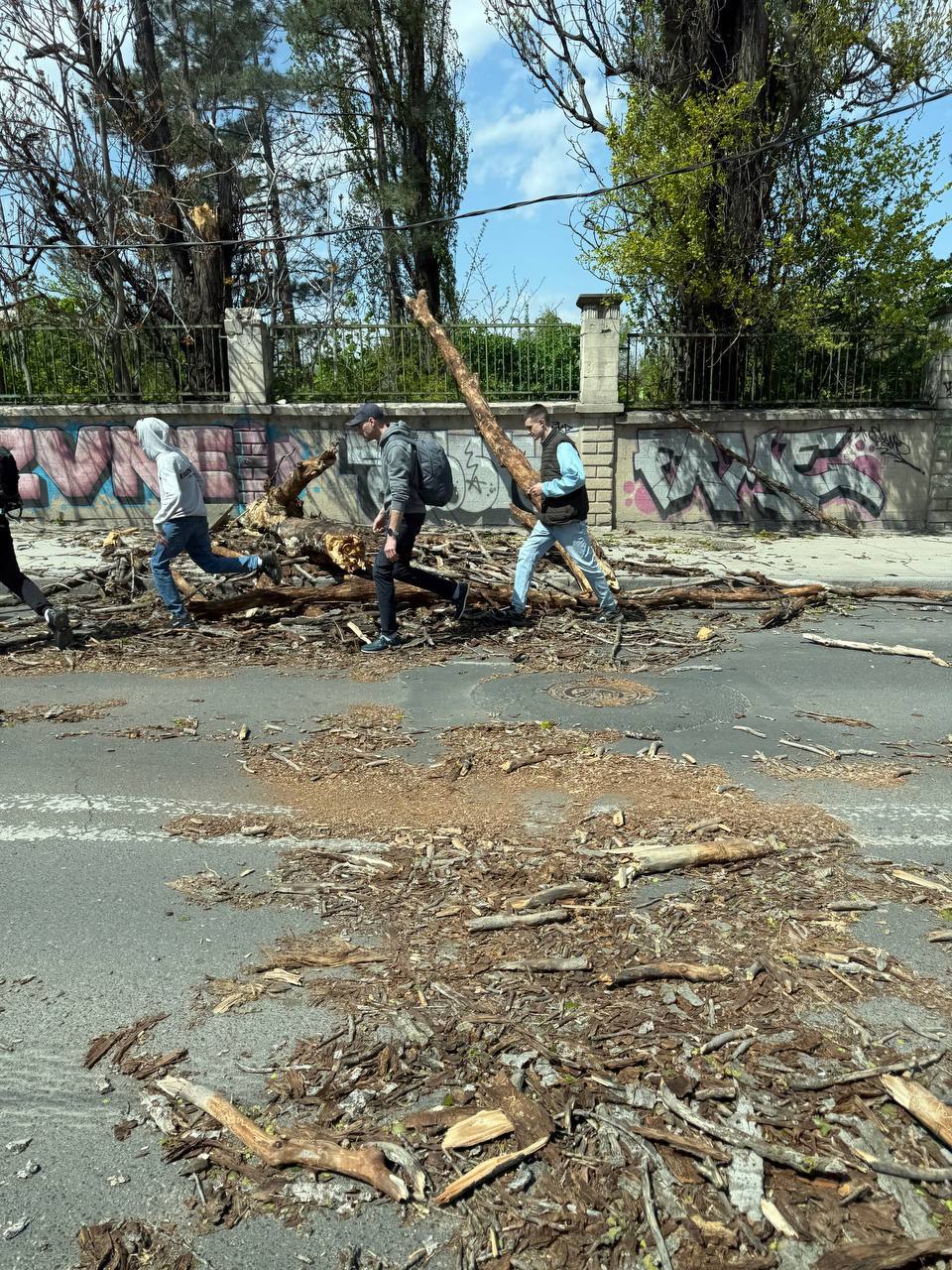 Cod portocaliu de vânt puternic în Moldova.  Autorităţile atenţionează asupra riscurilor severe. Populaţia este îndemnată să parcheze vehiculele departe de arbori şi cabluri electrice, să securizeze obiectele din exterior şi să evite zonele cu risc de cădere a crengilor sau elementelor de construcţie