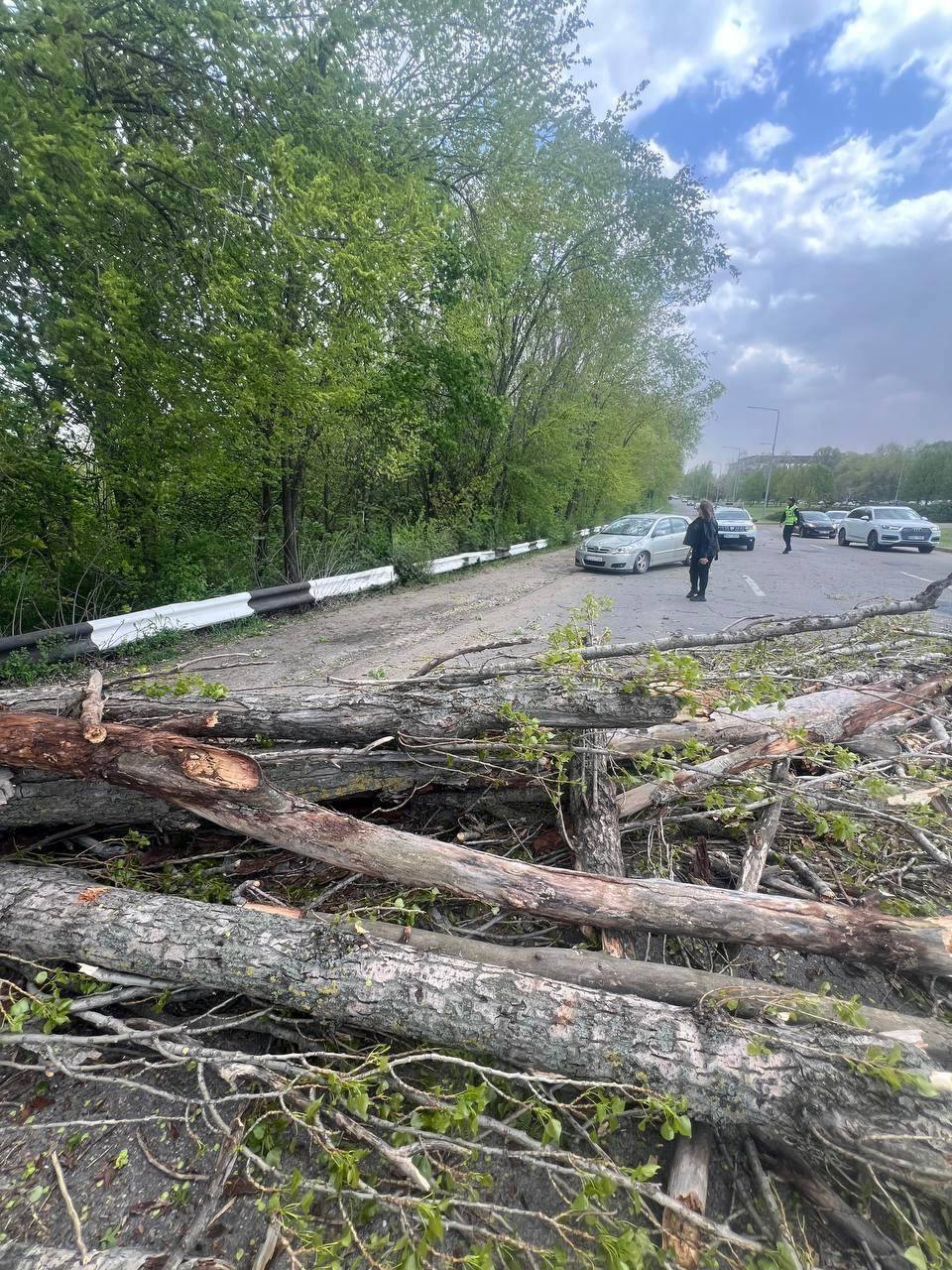 Chişinău. Pe bulevardul Dacia, în direcția spre Aeroport, autoritățile avertizează cetățenii să manifeste prudență maximă - un copac a căzut peste carosabil