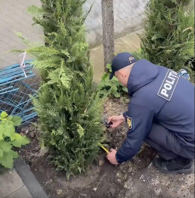 La măsurat tuile lui Manoli. Bloggerul Grigore Manoli s-a plâns azi că un polițist a venit azi să-i măsoare tuile din grădină, sugerând despre relația ostilă pe care o are cu poliția locală. Mai ales în contextul care azi planifica să meargă la o întâlnire cu președinta țării, la Nisporeni