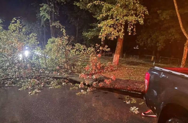 Furtuna a făcut ravagii la Ungheni: circa 100 de arbori doborâți, mașini avariate și rețele electrice afectate